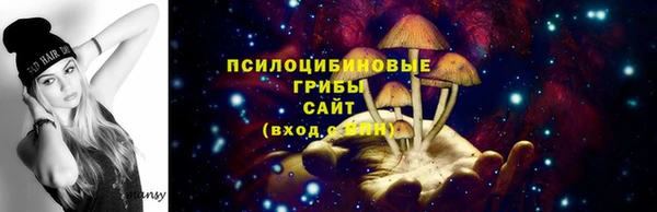 бутират Алзамай