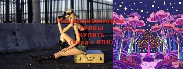 мяу мяу мука Алексеевка